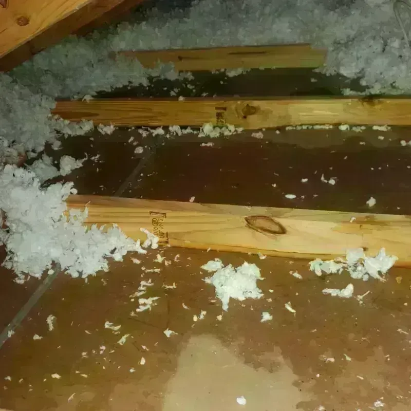 Attic Water Damage in Greenwood, SC