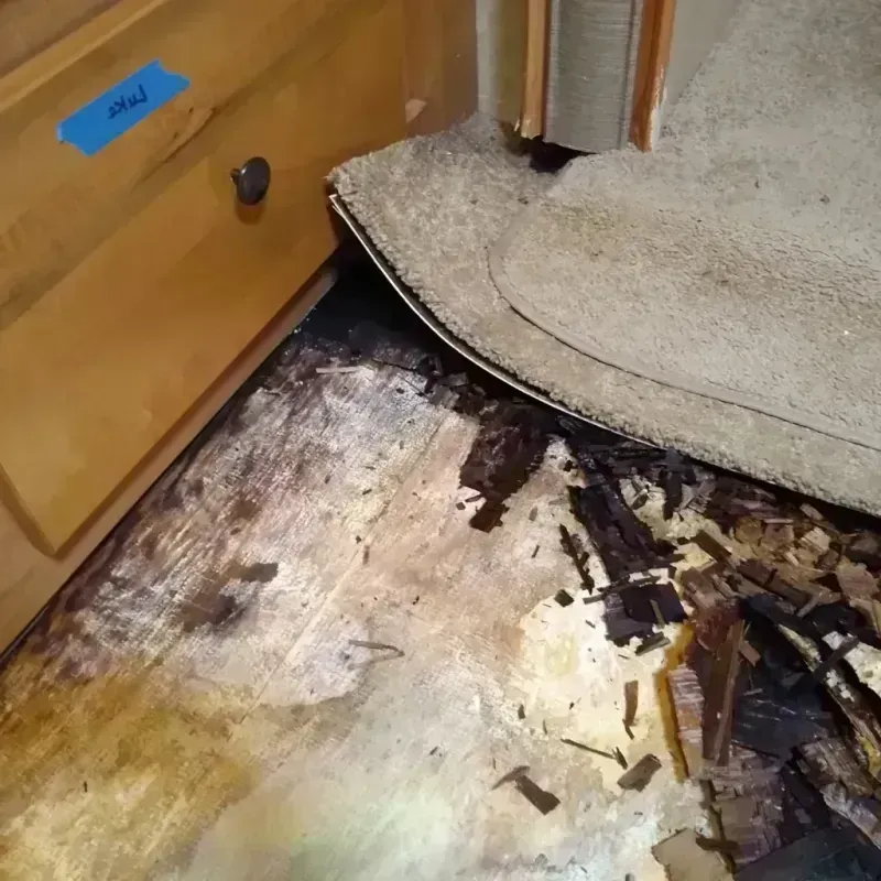 Wood Floor Water Damage in Greenwood, SC